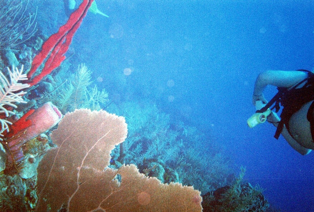 FastFoto_0090_a.jpg