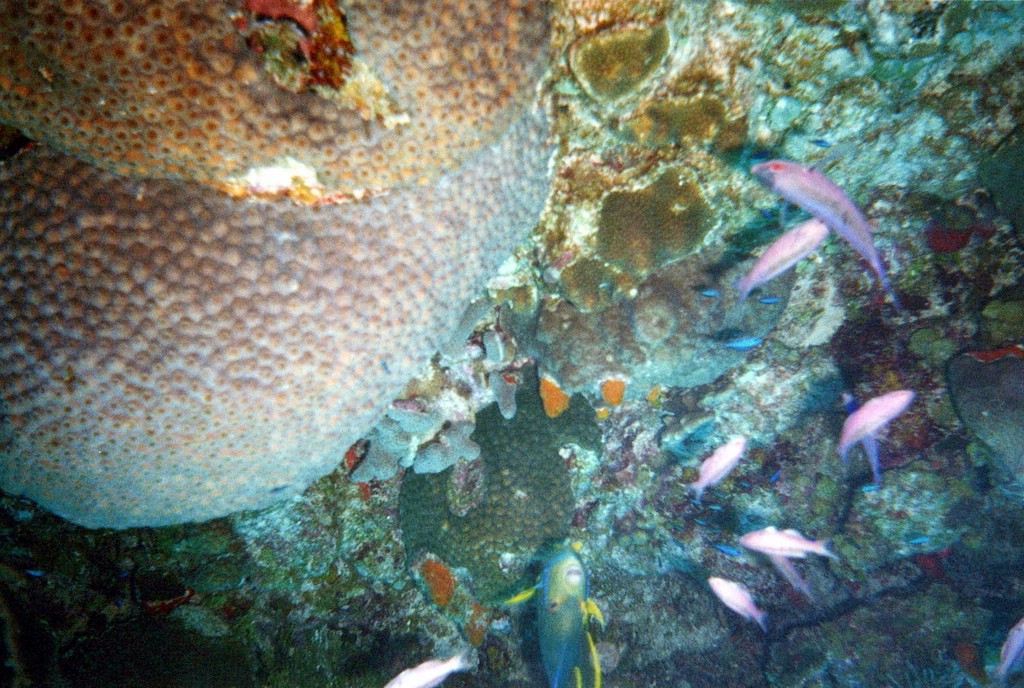 FastFoto_0102_a.jpg