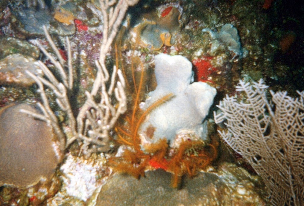 FastFoto_0108_a.jpg