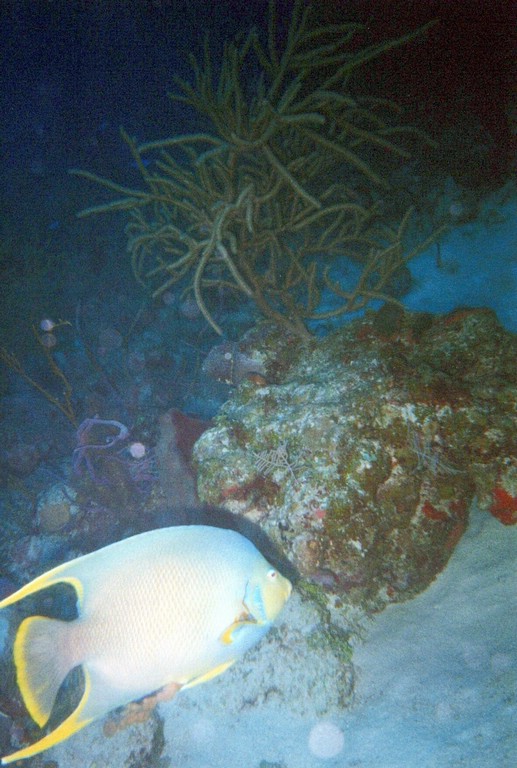 FastFoto_0111_a.jpg