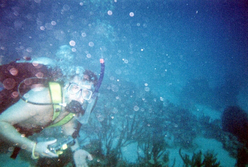 FastFoto_0123_a.jpg