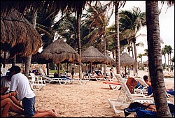 FastFoto_0003_a.jpg