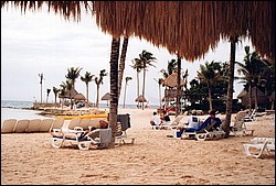 FastFoto_0005_a.jpg