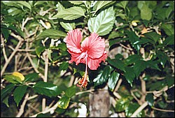 FastFoto_0006_a.jpg