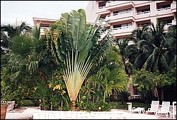 FastFoto_0009_a.jpg