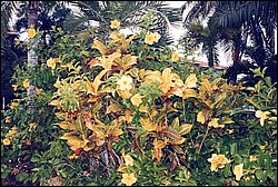 FastFoto_0010_a.jpg