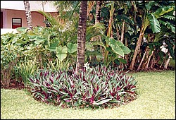 FastFoto_0011_a.jpg