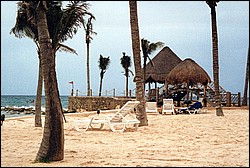 FastFoto_0016_a.jpg