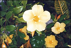 FastFoto_0044_a.jpg