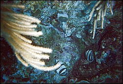 FastFoto_0077_a.jpg