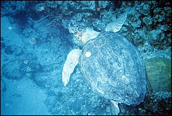 FastFoto_0083_a.jpg