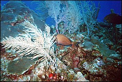FastFoto_0091_a.jpg