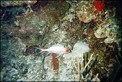 FastFoto_0127_a.jpg