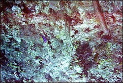 FastFoto_0147_a.jpg