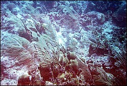 FastFoto_0170_a.jpg