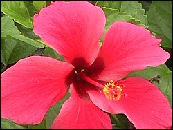 Mvc-025f.jpg