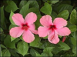 Mvc-028f.jpg