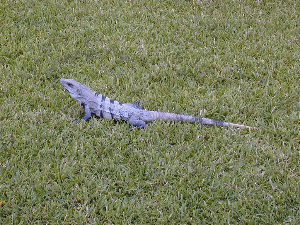 00Image005.jpg