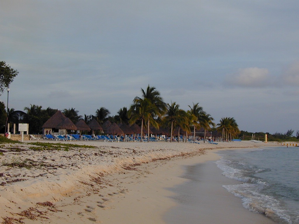 00Image007.jpg