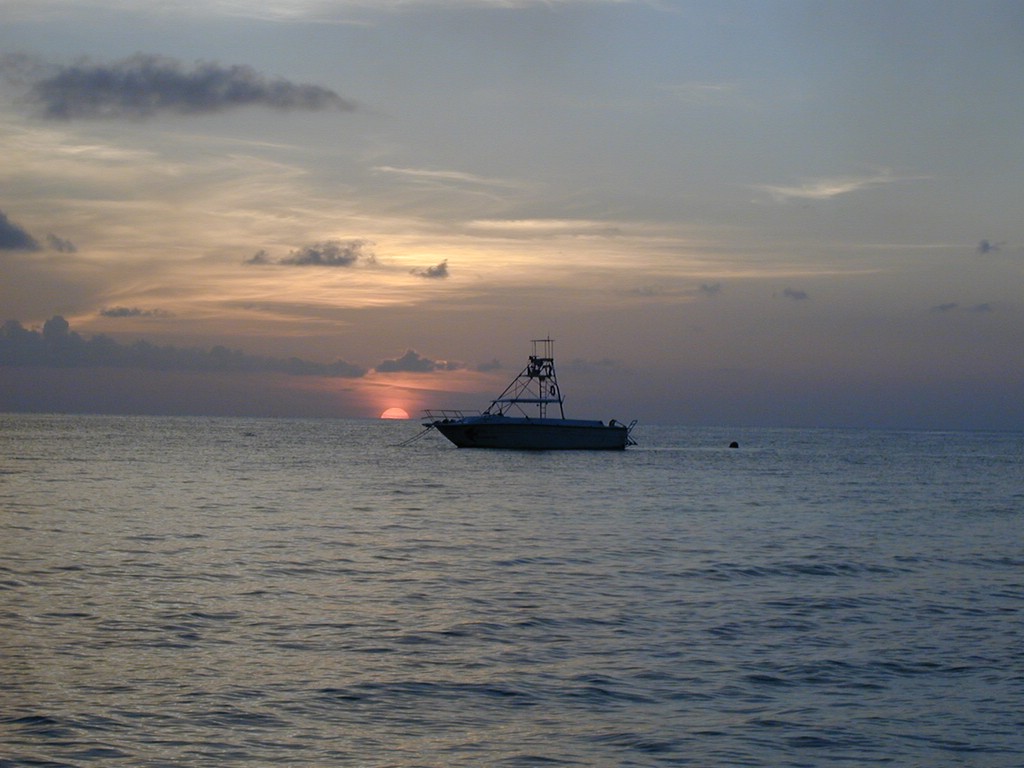 00Image013.jpg