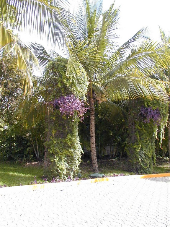 00Image050.jpg