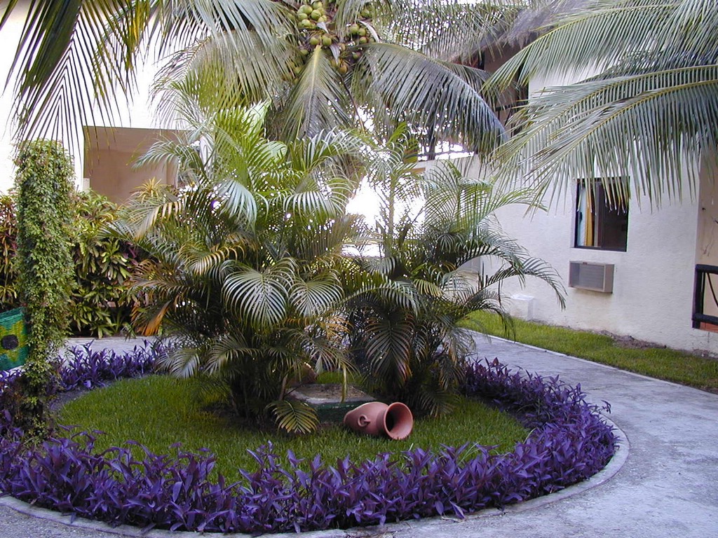 00Image060.jpg