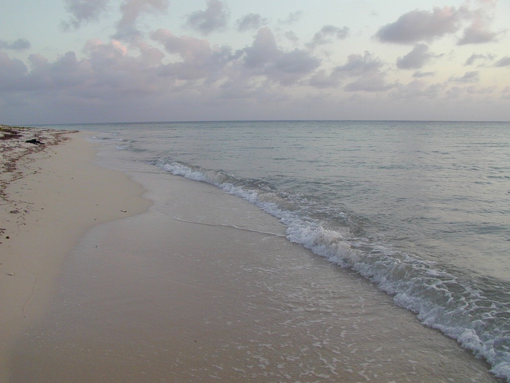 00Image064.jpg