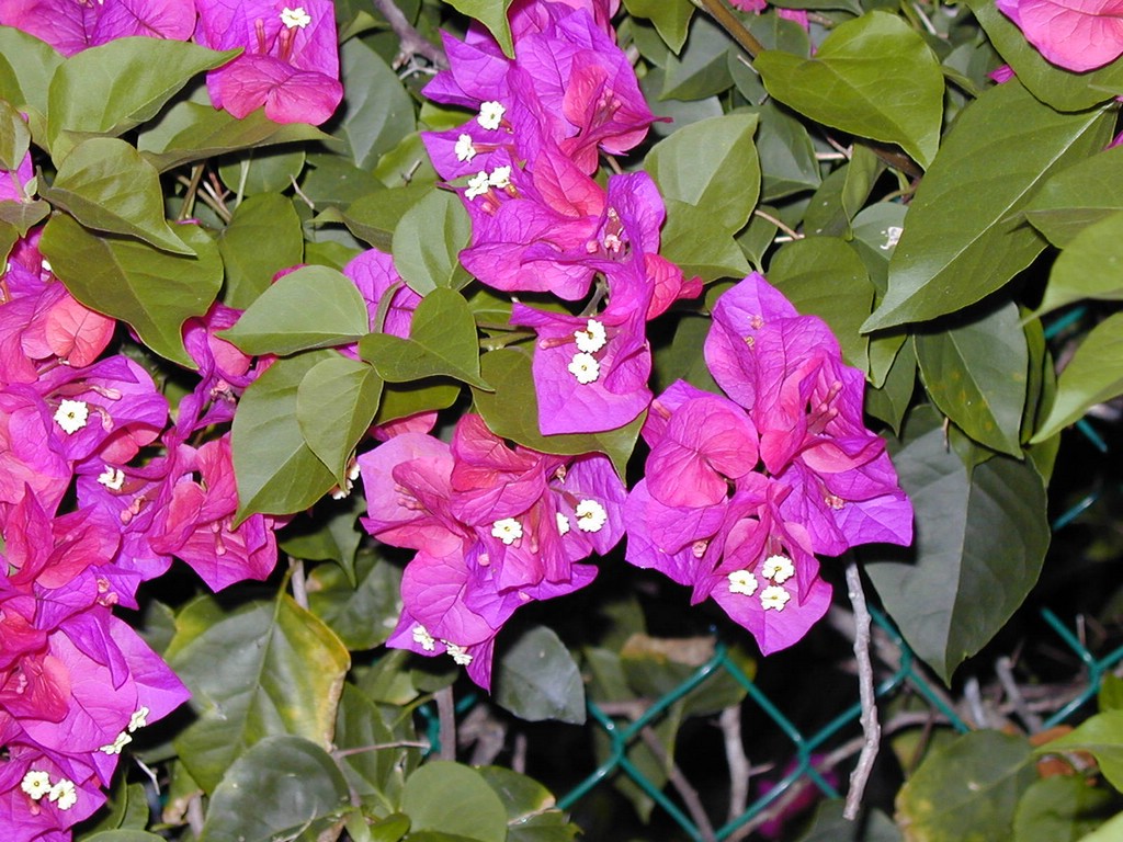 00Image087.jpg