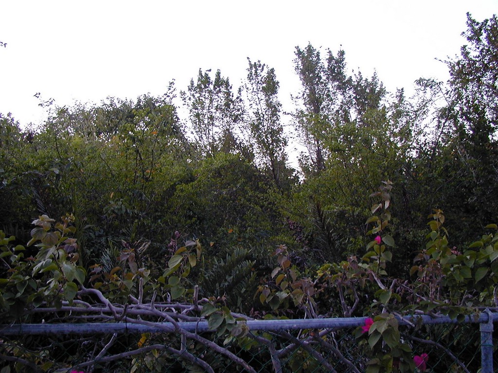 00Image089.jpg