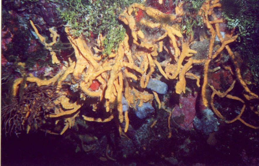 01_Columbia_Deep-03.jpg