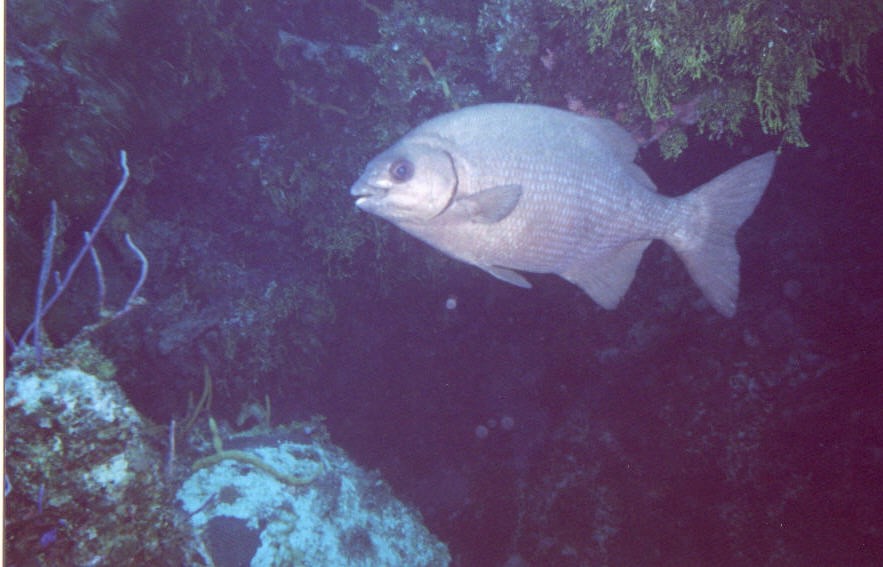 01_Columbia_Deep-05.jpg