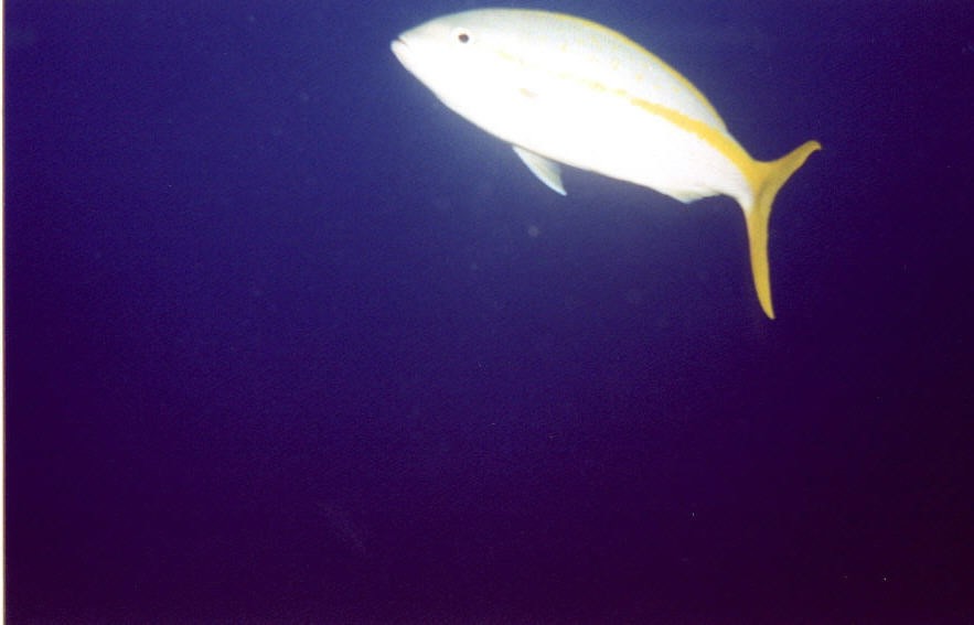 01_Columbia_Deep-08.jpg