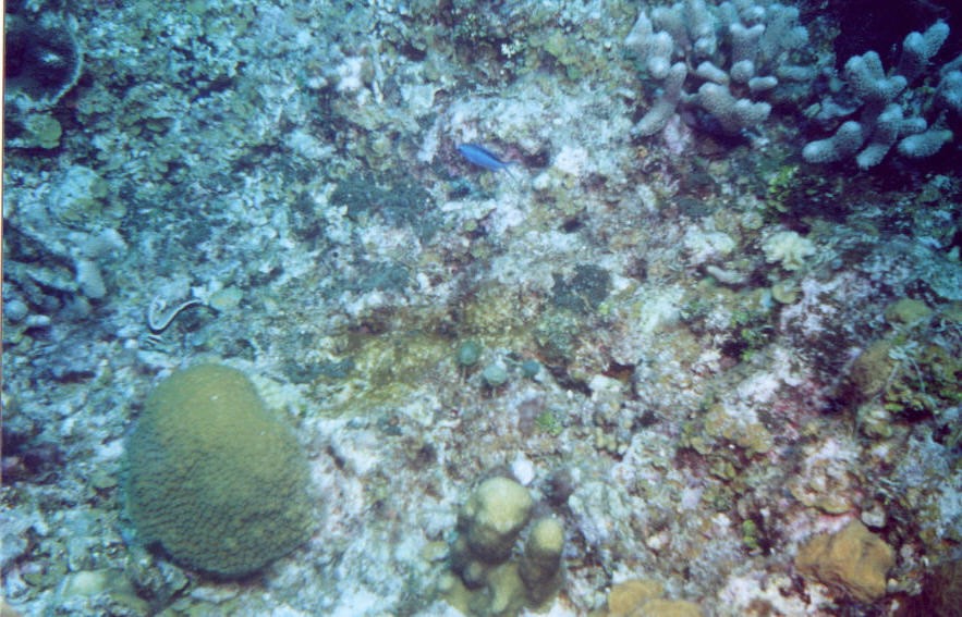 06_Chuckup_Reef-04.jpg