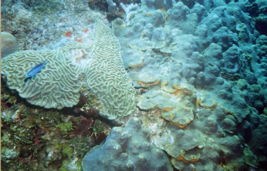 06_Chuckup_Reef-05.jpg