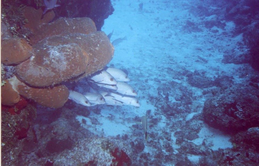 06_Chuckup_Reef-10.jpg