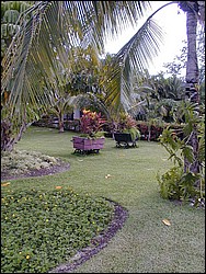 00Image046.jpg