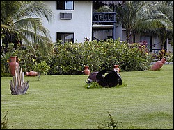 00Image055.jpg
