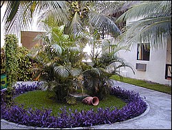 00Image060.jpg