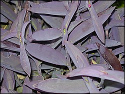 00Image061.jpg