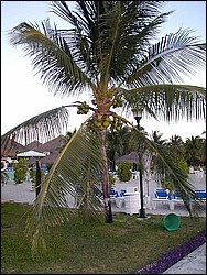 00Image080.jpg