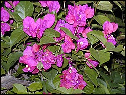 00Image086.jpg