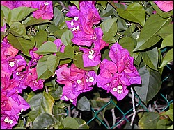 00Image087.jpg