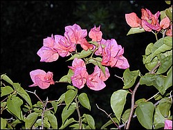 00Image088.jpg