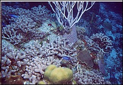 01_Columbia_Deep-01.jpg