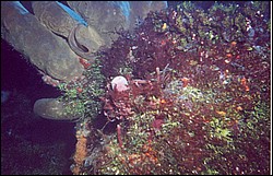 01_Columbia_Deep-04.jpg