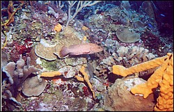 01_Columbia_Deep-07.jpg