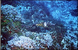 04_San_Francisco_Wall-06.jpg