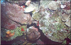 04_San_Francisco_Wall-07.jpg