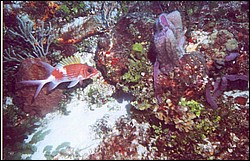 04_San_Francisco_Wall-10.jpg