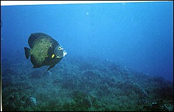 05_Delilah_Wall-06.jpg